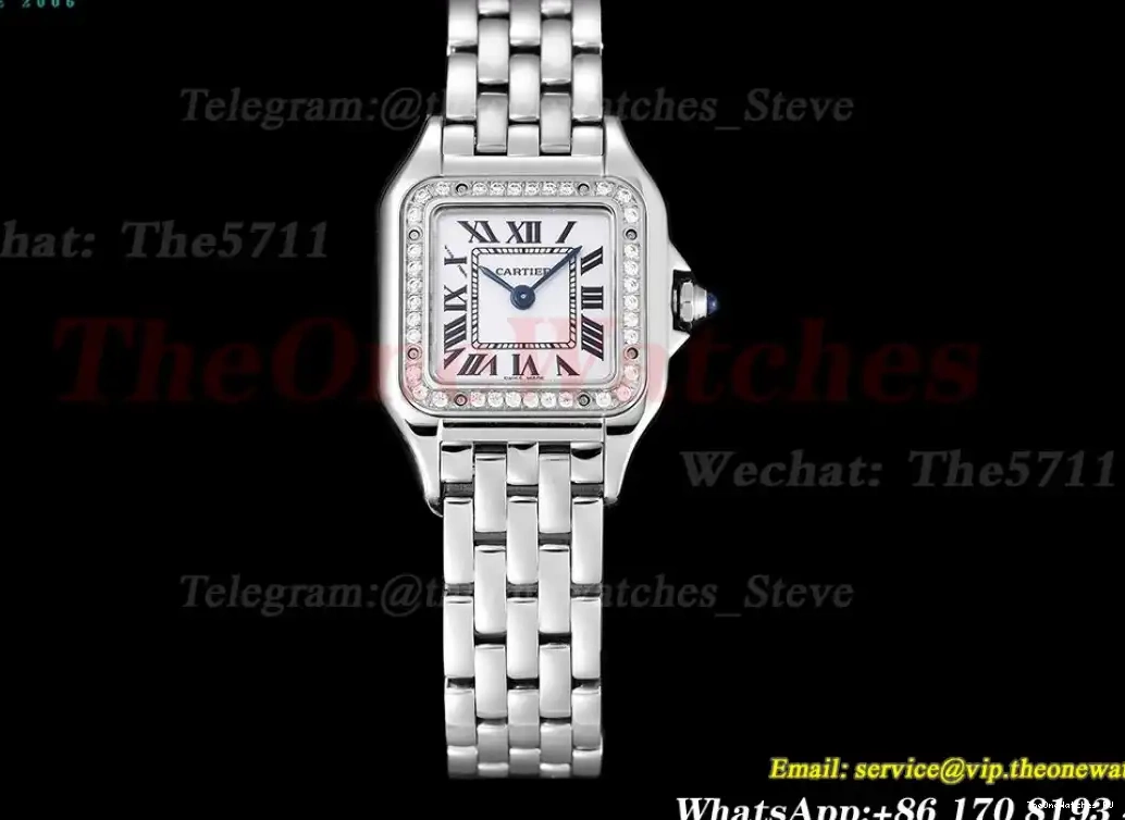 Qtz Swiss 8848F De Ladies SS 22mm Secrete SS Panthere White Dial Dia 0509